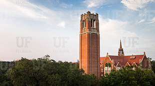 University of Florida's tower basks in the clear daylight